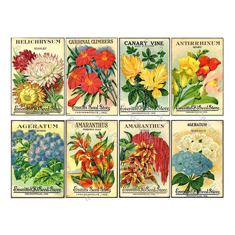 antique flower seed packets sticker sheet vintage seed etsy flower