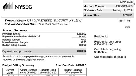 decoding  utility bill  nyseg rge    terms