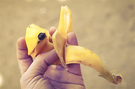 Benefits Of Banana Peel Is It Really Beneficial Health Cautions