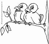 Coloring Pages Bird Birds Animated Gifs sketch template