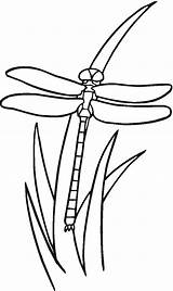Dragonfly Coloring Grass Pages Printable Kids Color Bestcoloringpagesforkids Dragonflies Colouring Clipart Clipartbest Libellule Patterns Clip Bible sketch template