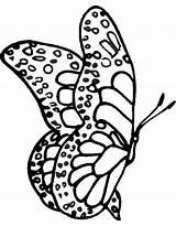 Farfalla Disegnidacolorareonline Stampare Articolo sketch template