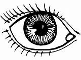 Eye Coloring Pages Getcolorings Color Printable sketch template