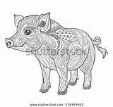 Pig Coloring Adult Pages Book Mandala Flying Colouring Animal Vector Tattoo Illustration Doodle Print Style Stock Shutterstock Isolated Shirt Pigs sketch template