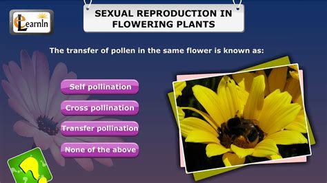 short interactive quiz sexual reproduction in flowering plants youtube