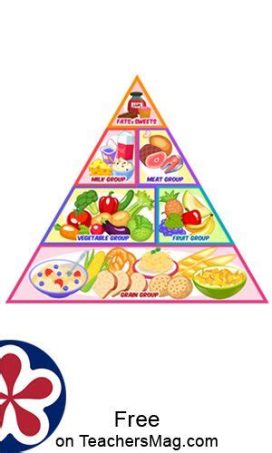 food pyramid  kids  printable food pyramid kids food pyramid