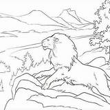 Narnia Lion Aslan sketch template