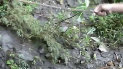 wisata air terjun sidoarjo wates jogja youtube