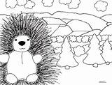 Porcupine Coloring Pages Cliparts Clipart Library Cute sketch template