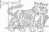 Tigers sketch template