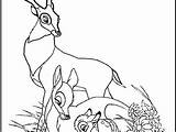 Bambi Coloring Pages Faline Getcolorings Printable sketch template
