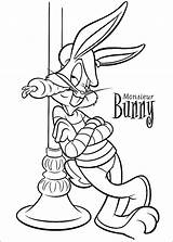 Looney Tunes Coloring Pages Books Printable Last sketch template