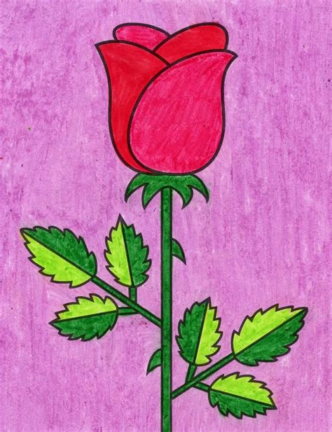 incredible compilation   rose drawing images full  rose