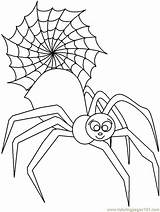 Spider Coloringpages101 Spiders sketch template