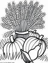 Coloring Pages Fall Harvest Printable Autumn Adult Adults Wheat Thanksgiving Flowers Sheets Cornucopia Color Colouring Festival Drawing Scenes Leaves Kids sketch template