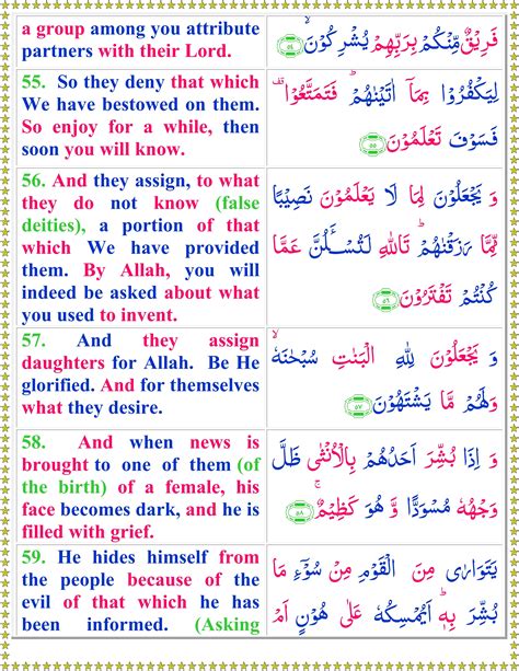 read surah al nahl  english translation quran  sunnat