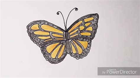 cute butterfly drawing youtube