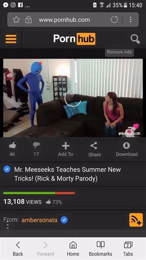 Mr Meeseeks Teaches Summer New Tricks Rick And Morty