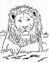 Lion Coloring Drawing Shapes Lines Head Do Paws Ovals Circle Legs Its sketch template
