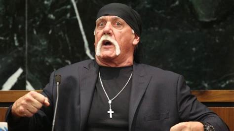 Hulk Hogan Separates Persona From Person As Sex Tape Trial Gets
