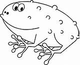 Frog Coloring Fat Pages Wecoloringpage sketch template