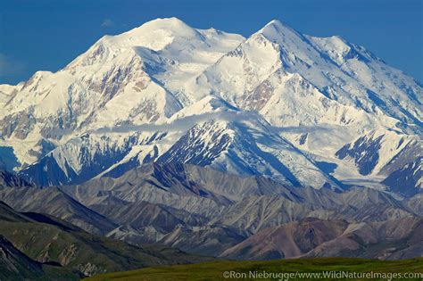 mt denali denali national park alaska   ron niebrugge