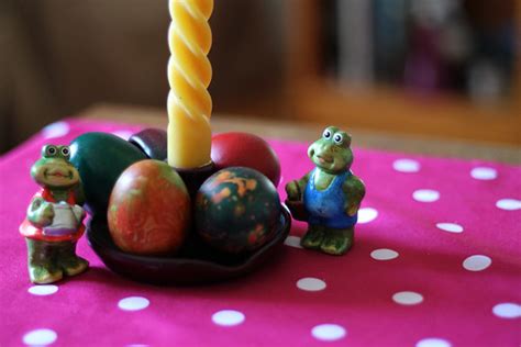 frogs celebrate easter    possibilities  fro flickr