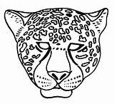 Jaguar Coloriage Colorier Animaux Masque Coloriages Carnaval Mask Masques Mascaras Masky Maternelle Modeste Enregistrée sketch template