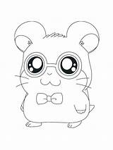 Hamster Dwarf Kawaii Hamsters Fofos Faceis sketch template