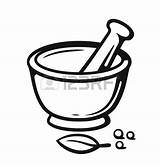 Mortar Pestle Vector Drawing Spices Outline Style Royalty Getdrawings Stock sketch template