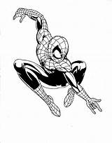 Spiderman Coloring Pages Ultimate Suit Drawing Spider Man Printable Color Getdrawings Hedgehogs Getcolorings Marvel Clipart Library Popular sketch template