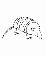 Coloring Armadillo Pages Printable Kids Crafts Animal Animals Color Sheets Learning Activities Book Choose Board Town Sheet Preschool Getcolorings sketch template