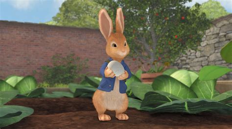 peter rabbit  tale   missing egg abc iview