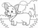 Corgi Pembroke sketch template