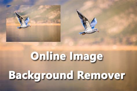 top    image background removers