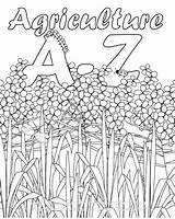 Agriculture Coloring Activities Book Ag Printable Ffa Farm Education Kids Classroom Pages Colouring Alphabet Template Excellent Farming Activity Worksheets Any sketch template