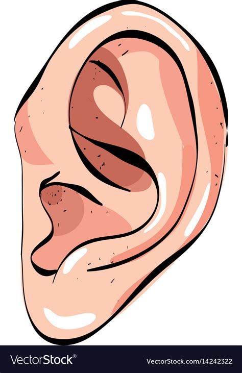 cartoon image  human ear royalty  vector image