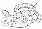 Anaconda Colorat Ular Cu Planse Sarpe Anacondas Kartun Sketsa Desenat Desene Sarpele Lilbitty sketch template