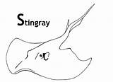 Stingray Stingrays Finding Mantarrayas Colorir sketch template
