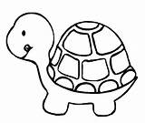 Turtle Coloring Line Drawing Cartoon Pages Cute Box Clipart Nemo Drawings Finding Simple Turtles Sea Draw Cliparts Clip Outline Color sketch template