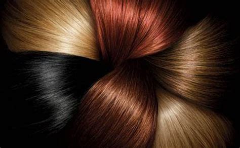 natural hair color  satva ayurmedic natural hair color inr  kilogram approx id