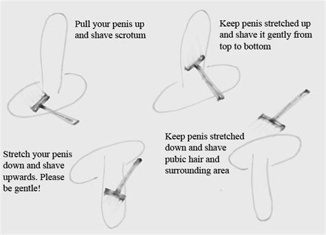 Male Pubic Hair And Scrotum Shaving Benefits And Tips Well Groomed