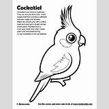 Cockatiel Birdorable Zdroj Pinu sketch template
