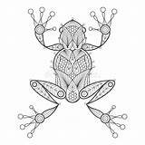 Frog Vector Adult Coloring Illustration Modern Coloration Amphibian Elements Trend Decorative Background Fashion Stock sketch template