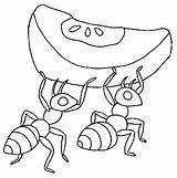 Hormigas sketch template
