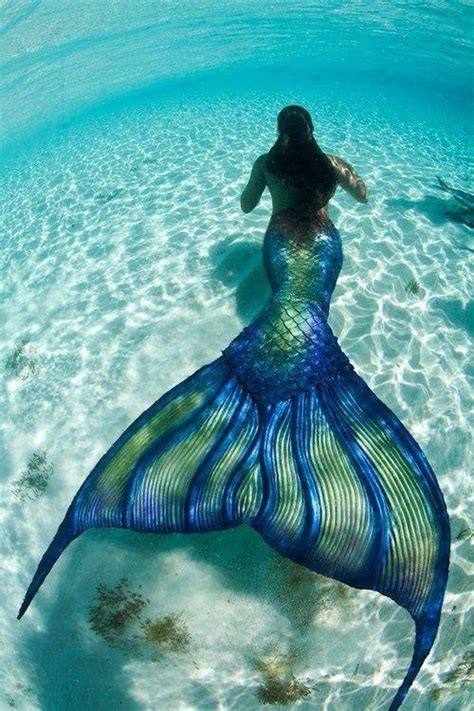 mermaid pictures   images  facebook tumblr pinterest