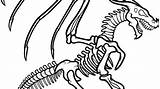 Coloring Pages Skeleton Dinosaur Bones Jack Dry Getdrawings Printable Getcolorings Preschoolers Pa Clipartmag Drawing sketch template