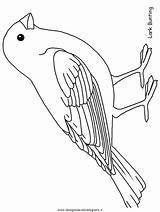 Vogel Vorlage Vögel Boyama Malvorlagen Muhabbet Ausmalbilder Resmi Okul Hayvanlar Etkinlikleri Uccello 2312 sketch template