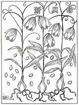 Coloring Herb Pages Herbs Getdrawings Getcolorings sketch template
