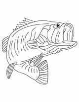 Coloring Alabama State Pages Symbols Popular Fish sketch template